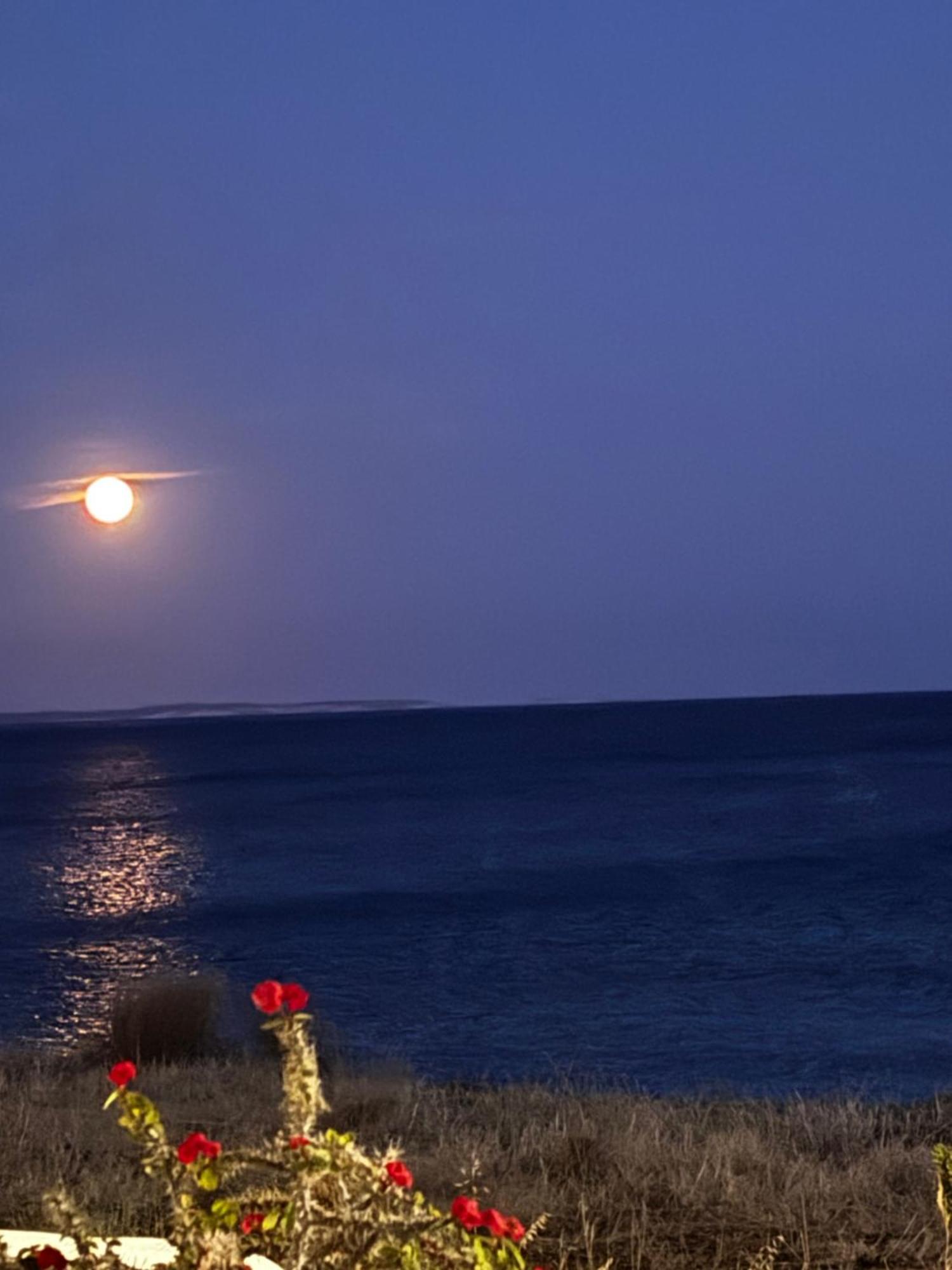 Blue Sea Villa & Apartments Makrýgialos 외부 사진